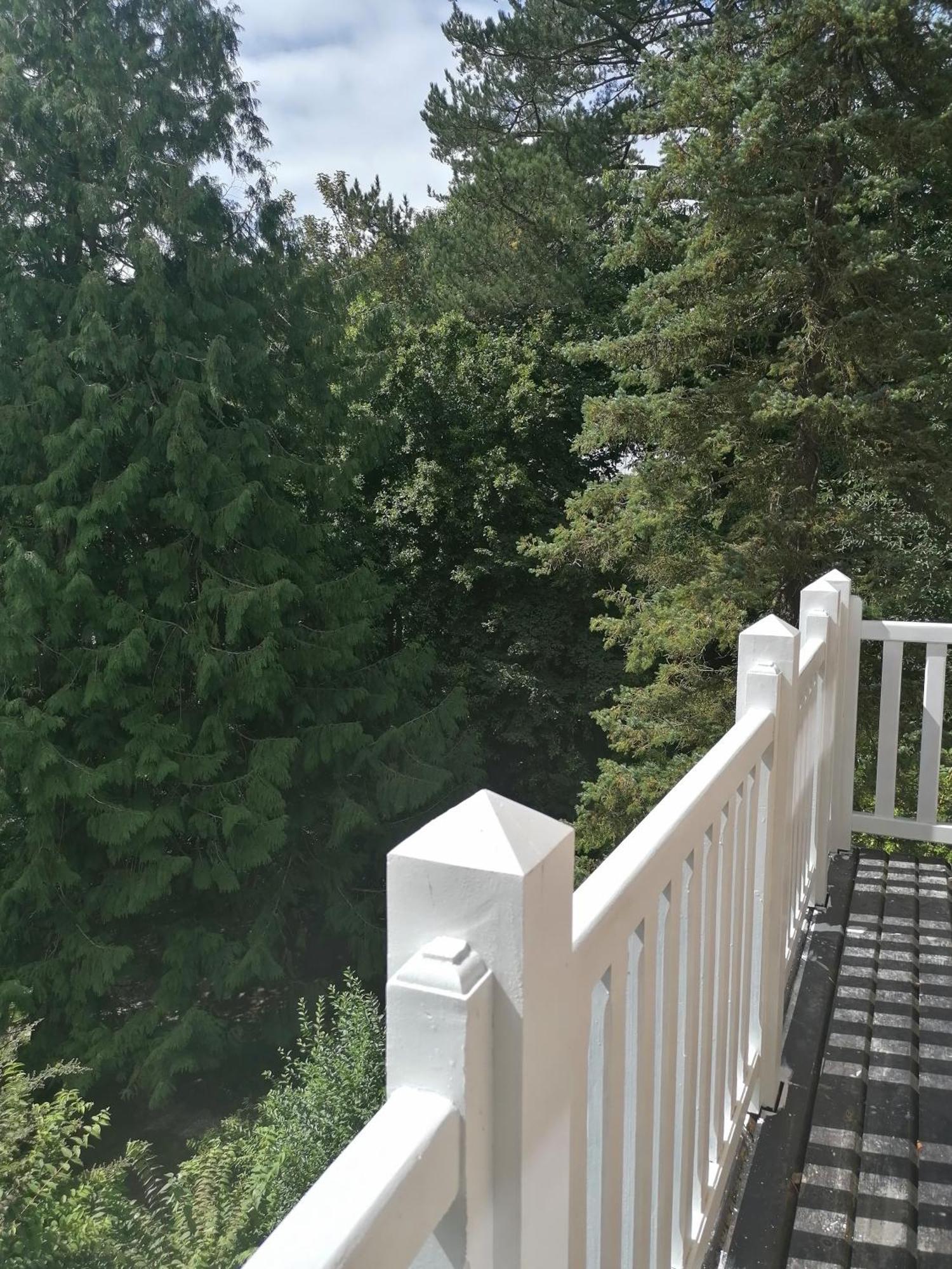Villa Eliane - Parking Prive Etretat Exterior photo